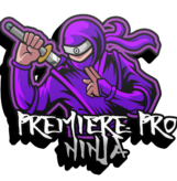 PremiereProNinjaEdits3D